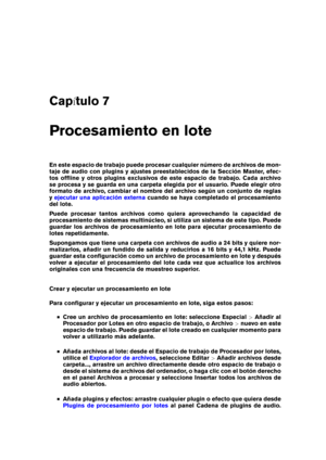 Page 219Cap tulo 7
Procesamiento en lote
En este espacio de trabajo puede procesar cualquier número de archivos de mon-
taje de audio con plugins y ajustes preestablecidos de la Sección Master, efec-
tos ofﬂine y otros plugins exclusivos de este espacio de trabajo. Cada archivo
se procesa y se guarda en una carpeta elegida por el usuario. Puede elegir otro
formato de archivo, cambiar el nombre del archivo según un conjunto de reglas
y
ejecutar una aplicación externa cuando se haya completado el procesamiento...