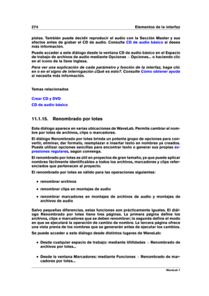 Page 288274 Elementos de la interfaz
pistas. También puede decidir reproducir el audio con la Sección Master y sus
efectos antes de grabar el CD de audio. Consulte
CD de audio básico si desea
más información.
Puede acceder a este diálogo desde la ventana CD de audio básico en el Espacio
de trabajo de archivos de audio mediante Opciones >Opciones... o haciendo clic
en el icono de la llave inglesa.
Para ver una explicación de cada parámetro y función de la interfaz, haga clic
en o en el signo de interrogación ¿Qué...