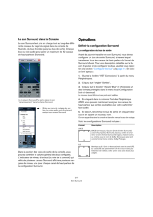 Page 217217
Son Surround
Le son Surround dans la Console
Le son Surround est pris en charge tout au long des diffé-
rents niveaux du trajet du signal dans la console de 
Nuendo, du bus d’entrée jusqu’au bus de sortie. Chaque 
bus ou voie audio peut gérer un maximum de 12 canaux 
de haut-parleurs Surround.
Dans la section des voies de sortie de la console, vous 
pouvez contrôler le volume général des bus configurés. 
L’indicateur de niveau d’un bus (ou voie de la console) qui 
véhicule plusieurs canaux Surround...