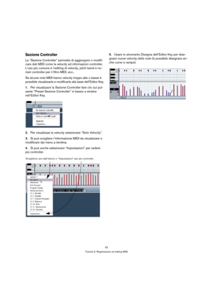 Page 5252
Tutorial 3: Registrazione ed editing MIDI
Sezione Controller
La “Sezione Controller” permette di aggiungere o modifi-
care dati MIDI come la velocity ed informazioni controller. 
L’uso più comune è l’editing di velocity, pitch bend e nu-
meri controller per il filtro MIDI, ecc..
Se alcune note MIDI hanno velocity troppo alte o basse è 
possibile visualizzarle e modificarle alla base dell’Editor Key.
1.Per visualizzare la Sezione Controller fare clic sul pul-
sante “Preset Sezione Controller” in basso...