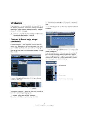 Page 7979
Tutorial 8: Editing Audio II - tempo e groove
Introduzione
In questa sezione verranno analizzati vari esempi di file au-
dio che non possiedono informazioni di tempo e verrà mo-
strato come questi possono seguire il tempo di Nuendo, 
con pochi semplici passaggi.
Esempio 1: Drum loop, tempo 
conosciuto
In questo esempio, è stato importato un drum loop con 
tempo noto. Questo è uno dei modi più rapidi di far corri-
spondere il tempo del drum loop con il tempo del progetto.
Si ha qui un drum loop di cui...