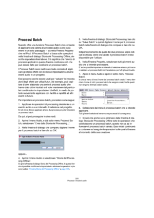 Page 250250
Processi e funzioni audio
Processi Batch
Nuendo offre una funzione Processo Batch che consente 
di applicare una catena di processi audio a uno o più 
eventi in un solo passaggio – sia nella Finestra Progetto 
che nel Pool. Il Processo Batch si basa sulle operazioni 
nella finestra di dialogo Storia del Processing Offline, de-
scritte sopradescribed above. Ciò significa che l’elenco di 
processi applicati in questa finestra costituisce ciò che 
può essere fatto per costituire un processo batch.
I...