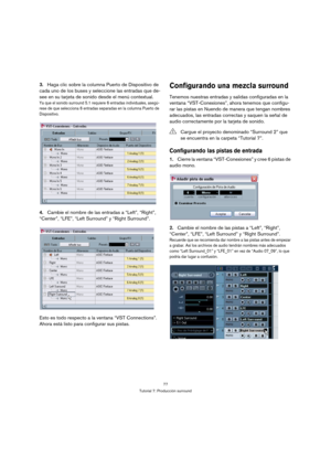 Page 7777
Tutorial 7: Producción surround
3.Haga clic sobre la columna Puerto de Dispositivo de 
cada uno de los buses y seleccione las entradas que de-
see en su tarjeta de sonido desde el menú contextual.
Ya que el sonido surround 5.1 requiere 6 entradas individuales, asegú-
rese de que selecciona 6 entradas separadas en la columna Puerto de 
Dispositivo.
4.Cambie el nombre de las entradas a “Left”, “Right”, 
“Center”, “LFE”, “Left Surround” y “Right Surround”.
Esto es todo respecto a la ventana “VST...