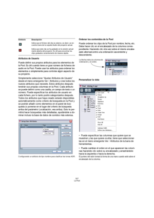 Page 307307
La Pool
Atributos de Usuario
Puede definir sus propios atributos para los elementos de 
la Pool. Es útil cuando tiene un gran número de ficheros de 
audio en la Pool. Puede usar los atributos para ordenar los 
elementos o simplemente para controlar algún aspecto de 
su proyecto.
Simplemente seleccione “Ajustar Atributos de Usuario” 
desde el menú emergente Ver / Atributos y cree todos los 
nuevos atributos que necesite. Estos atributos después 
tendrán sus propias columnas en la Pool. Cada atributo...