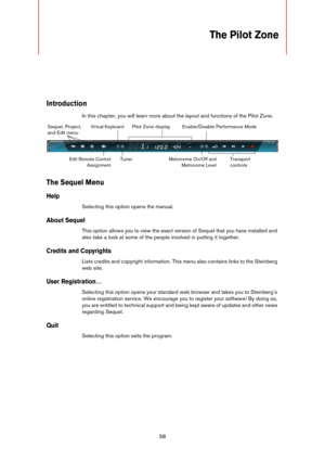Page 5858
The Pilot Zone
Introduction
In this chapter, you will learn more about the layout and functions of the Pilot Zone.
The Sequel Menu
Help
Selecting this option opens the manual.
About Sequel
This option allows you to view the exact version of Sequel that you have installed and 
also take a look at some of the people involved in putting it together.
Credits and Copyrights
Lists credits and copyright information. This menu also contains links to the Steinberg 
web site.
User Registration…
Selecting this...