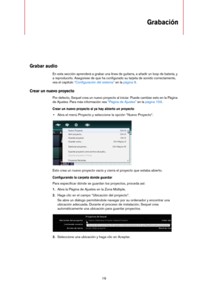 Page 1919
Grabación
Grabar audio
En esta sección aprenderá a grabar una línea de guitarra, a añadir un loop de batería, y 
a reproducirlo. Asegúrese de que ha configurado su tarjeta de sonido correctamente, 
vea el capítulo 
“Configuración del sistema” en la página 9.
Crear un nuevo proyecto
Por defecto, Sequel crea un nuevo proyecto al iniciar. Puede cambiar esto en la Página 
de Ajustes. Para más información vea 
“Página de Ajustes” en la página 103.
Crear un nuevo proyecto si ya hay abierto un proyecto
•Abra...
