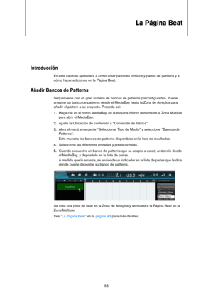 Page 5555
La Página Beat
Introducción
En este capítulo aprenderá a cómo crear patrones rítmicos y partes de patterns y a 
cómo hacer ediciones en la Página Beat.
Añadir Bancos de Patterns
Sequel viene con un gran número de bancos de patterns preconfigurados. Puede 
arrastrar un banco de patterns desde el MediaBay hasta la Zona de Arreglos para 
añadir el pattern a su proyecto. Proceda así:
1.Haga clic en el botón MediaBay, en la esquina inferior derecha de la Zona Múltiple 
para abrir el MediaBay.
2.Ajuste la...