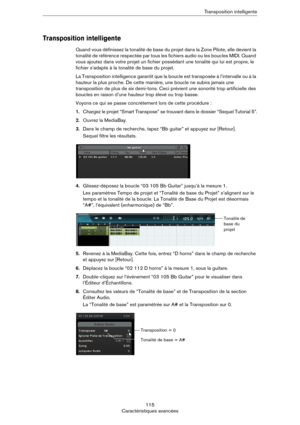Page 115115
Caractéristiques avancéesTransposition intelligente
Transposition intelligente
Quand vous définissez la tonalité de base du projet dans la Zone Pilote, elle devient la 
tonalité de référence respectée par tous les fichiers audio ou les boucles MIDI. Quand 
vous ajoutez dans votre projet un fichier possédant une tonalité qui lui est propre, le 
fichier s’adapte à la tonalité de base du projet.
La Transposition intelligence garantit que la boucle est transposée à l’intervalle ou à la 
hauteur la plus...