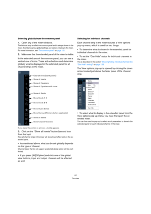 Page 127127
The mixer
Selecting globally from the common panel
1.Open any of the mixer windows.
The leftmost strip is called the common panel and is always shown in the 
mixer. It contains various global settings and options relating to the mixer. 
For more information, see “The common panel” on page 131.
2.Make sure that the extended panel of the mixer is visible.
In the extended area of the common panel, you can see a 
vertical row of icons. These act as buttons and determine 
globally what is displayed in the...