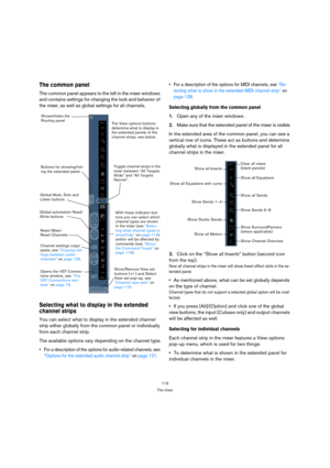 Page 113113
The mixer
The common panel
The common panel appears to the left in the mixer windows 
and contains settings for changing the look and behavior of 
the mixer, as well as global settings for all channels.
Selecting what to display in the extended 
channel strips
You can select what to display in the extended channel 
strip either globally from the common panel or individually 
from each channel strip. 
The available options vary depending on the channel type.
 For a description of the options for...