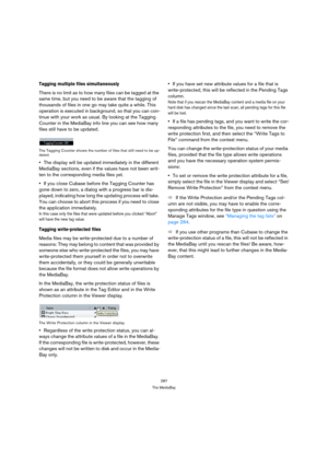 Page 287287
The MediaBay
Tagging multiple files simultaneously
There is no limit as to how many files can be tagged at the 
same time, but you need to be aware that the tagging of 
thousands of files in one go may take quite a while. This 
operation is executed in background, so that you can con-
tinue with your work as usual. By looking at the Tagging 
Counter in the MediaBay info line you can see how many 
files still have to be updated.
The Tagging Counter shows the number of files that still need to be up-...