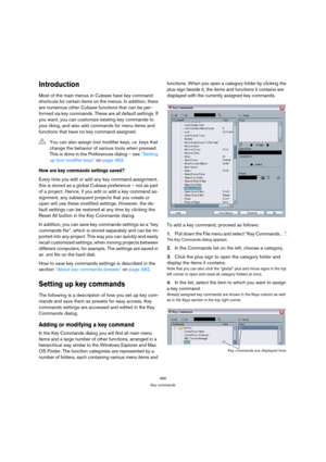 Page 480480
Key commands
Introduction
Most of the main menus in Cubase have key command 
shortcuts for certain items on the menus. In addition, there 
are numerous other Cubase functions that can be per-
formed via key commands. These are all default settings. If 
you want, you can customize existing key commands to 
your liking, and also add commands for menu items and 
functions that have no key command assigned.
How are key commands settings saved?
Every time you edit or add any key command assignment, 
this...