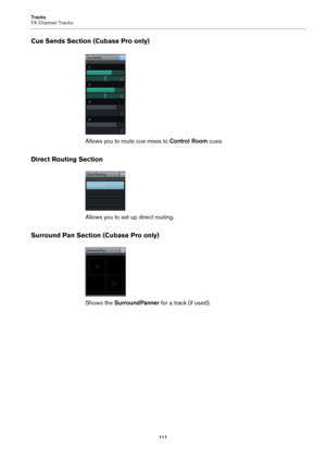 Page 111Tracks
FX Channel Tracks
111
Cue Sends Section (Cubase Pro only)
Allows you to route cue mixes to Control Room cues.
Direct Routing Section
Allows you to set up direct routing.
Surround Pan Section (Cubase Pro only)
Shows the SurroundPanner for a track (if used). 