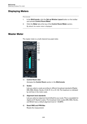 Page 315MixConsole
Metering (Cubase Pro only)
315
Displaying Meters
PROCEDURE
1. In the MixConsole, click the Set up Window Layout button on the toolbar 
and activate Control Room/Meter.
2. Click the Meter tab at the top of the Control Room/Meter section.
By default, the master meter is displayed.
Master Meter
The master meter is a multi-channel true peak meter.
1)Control Room view
Activates the Control Room section in the MixConsole.
2)Scales
Lets you select a scale according to different broadcast standards...