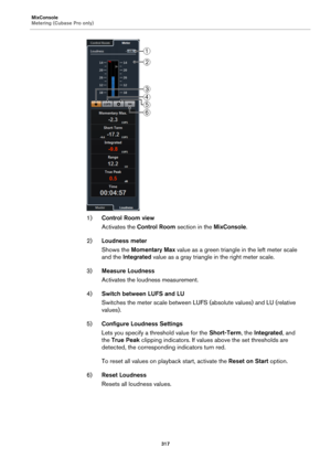 Page 317MixConsole
Metering (Cubase Pro only)
317
1)Control Room view
Activates the Control Room section in the MixConsole.
2)Loudness meter
Shows the Momentary Max value as a green triangle in the left meter scale 
and the Integrated value as a gray triangle in the right meter scale.
3)Measure Loudness
Activates the loudness measurement.
4)Switch between LUFS and LU
Switches the meter scale between LUFS (absolute values) and LU (relative 
values).
5)Configure Loudness Settings
Lets you specify a threshold value...