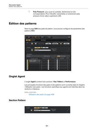 Page 521Percussion Agent
Édition des patterns521
•Poly Pressure : pour jouer la cymbale, déclenchez la note 
correspondante. Pour l’étouffer, transmettez un événement poly 
pressure d’une valeur supérieure à 64.
Édition des patterns
Dans la page  Edit des pads de pattern, vous pouv ez configurer les paramètres des 
patterns MIDI.
Onglet Agent
L’onglet  Agent contient trois sections :  Pad, Pattern et  Performance .
Les principales fonctions des  pads et des patterns sont couvertes dans le chapitre 
« Utilisation...