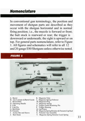 Page 13In conventional  gun terminology,  the position and movement  of  shotgun  parts  are  described  as  they 
occur  with  the  shotgun  horizontal  and  in  normal 
firing position; i.e., the muzzle is forward or front; 
the  butt  stock  is  rearward  or  rear;  the  trigger  is  downward or underneath; the sight is upward or on 
top. For general parts nomenclature, refer to Figure 
1. All figures and schematics will refer to all  12 
and 20 gauge E80 Shotguns unless otherwise noted. 
A.  Barrel  K....